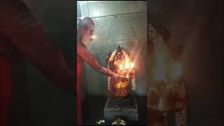 திருமங்கலம் சிதம்பரேஸ்வரர் உடனுறை ஶ்ரீ சிவகாமசுந்தரி அம்மன் இன்றைய தீபாரதனை