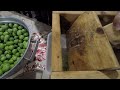 olives crushing at home olives crusher machine handmade makineri per te shtypur ullinj ne shtepi