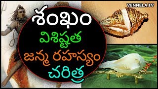 History Of Shankham in Telugu | How Are Shells Formed? | Unknown Facts Of Hinduism | Vennela TV