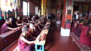 HE Choeje Ayang Rinpoche's Monastery in Bylakuppe