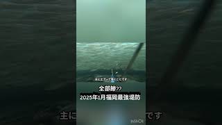 【水中映像】1月初旬福岡超有名堤防でアジ釣り(仕掛けにかかる魚の映像を完全撮影)