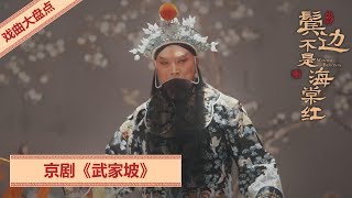 【经典戏曲片段盘点】EP36: 京剧《武家坡》 | 《鬓边不是海棠红 Winter Begonia》 传递戏曲魅力 传承经典文化 | 欢娱影视