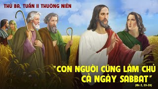 THỨ BA - TUẦN II MÙA THƯỜNG NIÊN - Mc 2,23-28