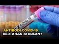 Riset: Antibodi Covid-19 Bertahan di Tubuh 10 Bulan Usai Terinfeksi