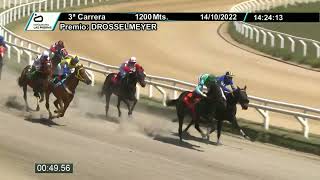 221014 c03 - DESTEMIDA (BRZ) - HIPODROMO LAS PIEDRAS