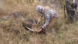 Raw footage from Battle River Outfitters Moose hunt