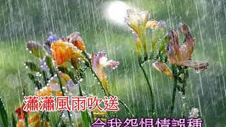 細雨憶當年 (粵語) (濛濛細雨憶當年)(音樂伴奏)(懷舊金曲)