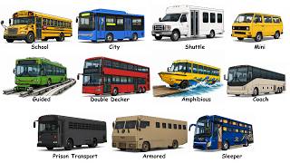 Every Bus Type Explained