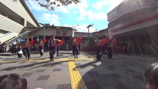 04 凛憧 OGOB 2013年演舞「彩凛」 大阪教育大学 大元気祭(神霜祭)