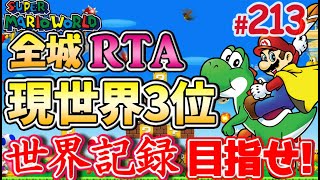 【世界記録まで8秒】新技でガンガン追い込みます【マリオワールド全城RTA】#213