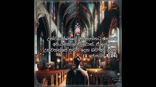 20th April - Daily Prayer - දේව කැමැත්තට එකඟව යාච්ඤා කරමු. ❤️