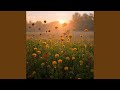 Bittersweet Memories of Summer