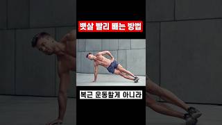 와..뱃살 빼고 싶으면 이걸 해야 되는구나 ㄷㄷ