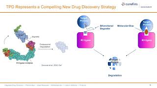 Decoding Cancer and Inflammation: Identifying Selective Inhibitors of SH2 Domains