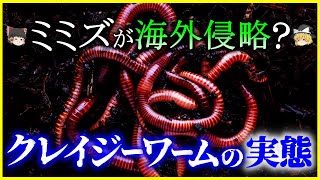 【ゆっくり解説】日本のミミズが海外侵略⁉「クレイジーワーム」の実態とは？を解説/侵略的外来種が引き起こす問題とは