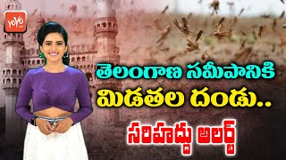 తెలంగాణ సమీపానికి మిడతల దండు.. సరిహద్దు అలర్ట్! | Locust Attack Hits Indian States | YOYO TV Channel