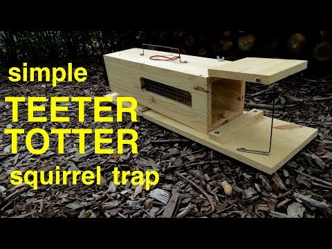 How to make a ● simple HUMANE TEETER-TOTTER squirrel trap How to make a ● simple HUMANE TEETER-TOTTER squirrel trap