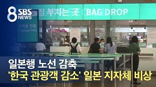 일본행 노선 감축…'한국 관광객 감소' 일본 지자체 비상 / SBS