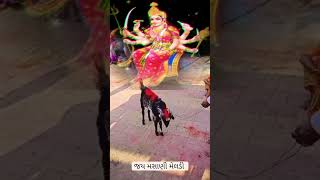 🌄ઉગતા પ્રભાત પરફેક્ટ 👑( મેલડી) 👑નંબર વન ૧