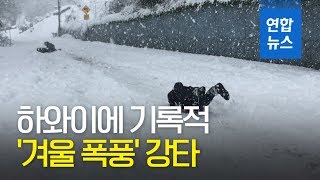 하와이에 기록적 '겨울 폭풍' 강타…사상자 등 피해 속출 / 연합뉴스 (Yonhapnews)