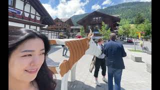 스위스 zweisimmen 2년 전의 나