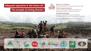 OEIGWG7: Adequate reparation in the future LBI - the example of mining disasters