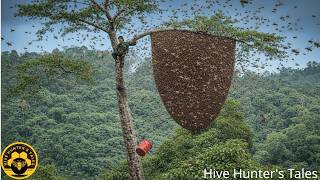 A Dramatic Wild Honey Hunt – Surrounded by Wild Bees, No Way Down