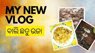 ବାଲି ଛତୁ ଭଜା ବହୁତ ସ୍ୱାଦିଷ୍ଟ ଓ ସବୁ ଠାରୁ ବେଶୀ ସହଜ