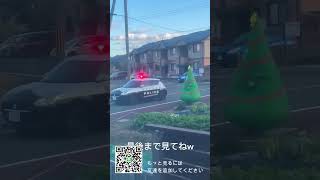 警察の方見て軽くお辞儀すんのガチおもろい笑笑..... #交通　#日本 #ニュース #渋滞#疲労回復 #運気アップ #インコ #オウム #楽しい #おもしろ #お笑い #癒し #癒し動画 #ダンス