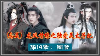 （忘羡）龙凤情缘之独爱羡太子妃 第14章： 圈套