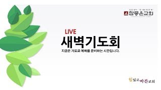 참좋은교회 새벽기도회(LIVE)(2024.11.26)\