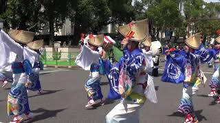 四国銀行　第66回よさこい祭り