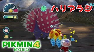 【ﾋﾟｸﾐﾝ4】 新登場の原生生物『ハリアラシ』討伐 ひだまりの庭 PIKMIN4