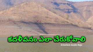 కదళీవనం ఎలా చేరుకోవాలి # srisailam # devotional videos