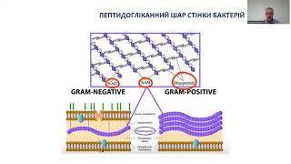 Клінічна фармакологія антибіотиків  Інтервенції ААП