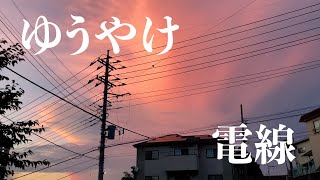 【ゆうやけ】夕焼けと電線 取手市 2021年7月22日