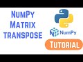 Python NumPy Tutorial For Beginners -  NumPy Matrix transpose() - Transpose of an Array in Python