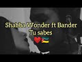 Shabba Wonder ft Bander - Tu sabes ( letra ).