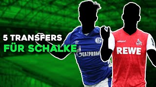 FC Schalke 04: 5 Transfers für den Wiederaufstieg in die Bundesliga!