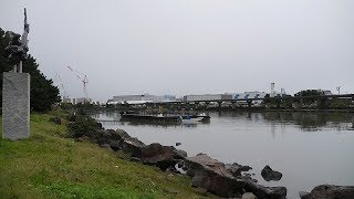 大井ふ頭中央海浜公園しおじ磯「ハゼが8月に釣れる」東京都10月