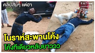 โนราห์กะล่อนแป้นป้อน! นำแสดงโดย #หมวดฟิวขนอม | คลิปสั้นๆแต่ฮา