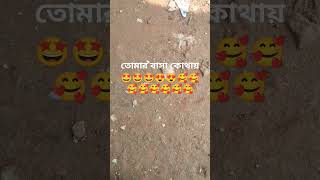 তোমার বাসা কোথায়