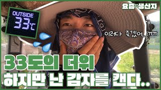 [요즘×생산자] 감자가 귀여운 이유?!🥔#22