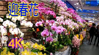 2020 迎春花市