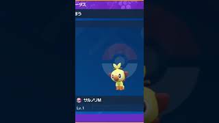 色サルノリ進化系統！#ポケモンsv #サルノリ #ゴリランダー #shorts