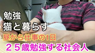 猫と暮らす一人暮らし社会人の1日【国家試験勉強】【猫と遊ぶ】【仕事】