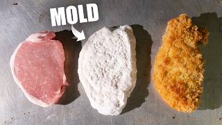 Recreating Japan’s Best Tonkatsu… with Moldy Pork