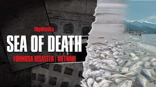 What happened in Vietnam? | Vietnam, 2016 | Formosa Ha Tinh Steel Disaster