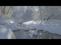 4k white forest relaxing piano music u0026 river sounds snowy winter nature video ultra hd