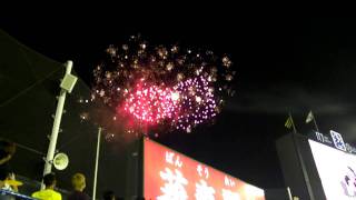 ヤクルトVS阪神　花火打ち上げ300発　神宮夏休みキャンペーン2011